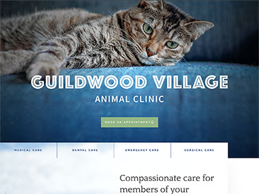 Guildwood Village Animal Clinic